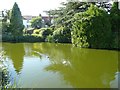 The duck pond, Graveley
