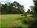 Path leading to a viewpoint