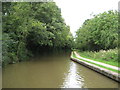 Coventry Canal: Reach near Pooley Hall