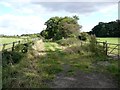 Footpath east of Chesfield Manor