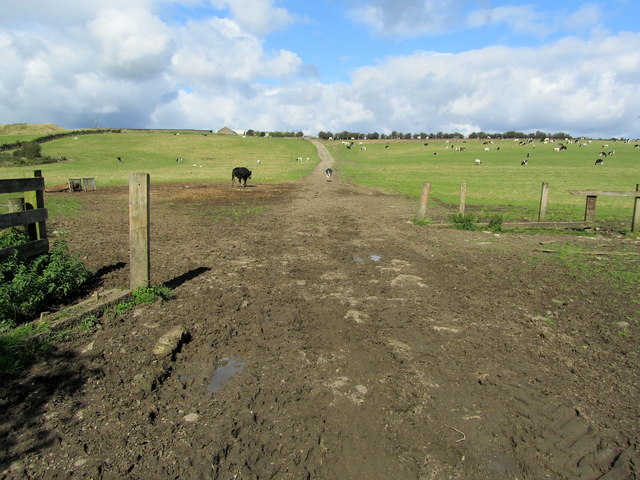 Bridleway leading up to New Laithe Farm