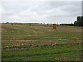 TF2304 : Farmland, Oakhurst Farm by JThomas