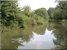 SU1661 : The Kennet and Avon Canal from Pains Bridge by Peter S