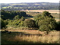 View west from Aldbury Nowers