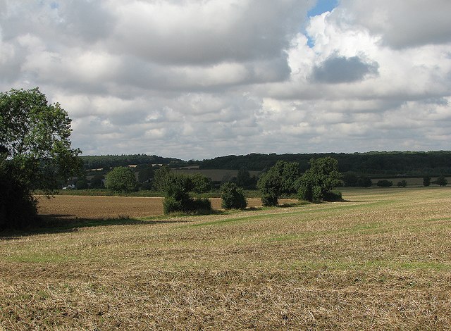 Down hill to Weston Green © John Sutton :: Geograph Britain and Ireland