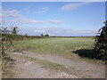 ST2243 : Fields, north of Upper Cock Farm by Roger Cornfoot
