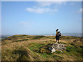 A windy day on top of the Hill of Alyth