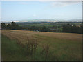 Pasture near Loyalbank, Alyth