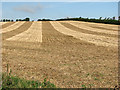 Stour Valley stubble