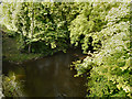 River Goyt