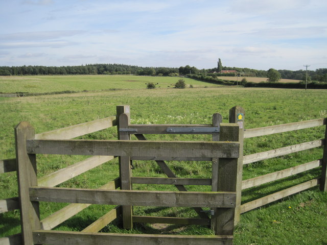 Rural scene near Potterhanworth