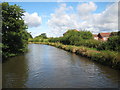 Coventry Canal: Reach near Rawn Hill