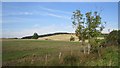 Farmland, Huntshaw