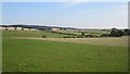 Fields above Earlston