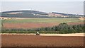 Ploughing, Georgefield