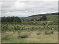 View towards Wardrew Farm