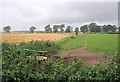 Bath in a field