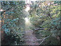 Disused railway in Heathfield