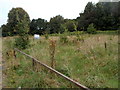 Waste ground, Llantarnam Road, Cwmbran