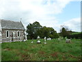 Coombe Keynes Churchyard (C)