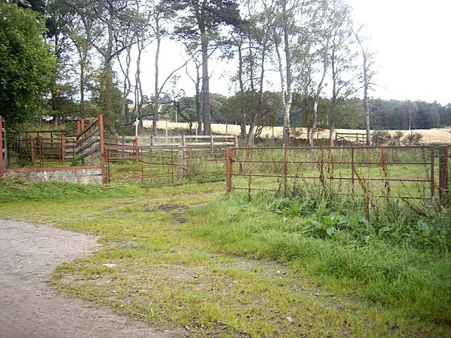 Sheepfold near Mains of Craigmyle (2012)
