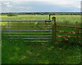 Footpath to Welby Village