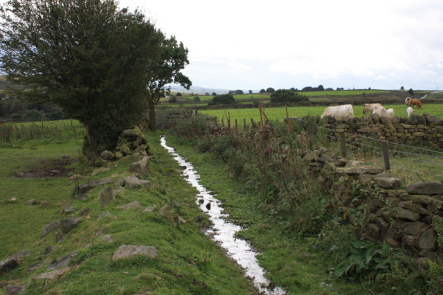 Footpath from Old Wood Farm to Faweather Grange