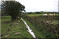 Footpath from Old Wood Farm to Faweather Grange