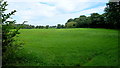 North Shropshire field