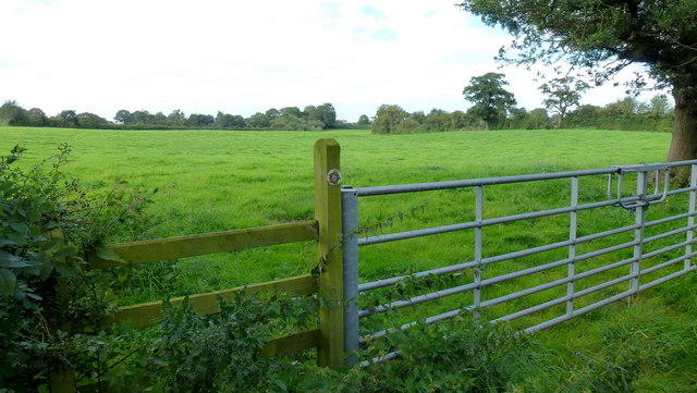 New gate and stile