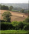 Arable field near Bruckland