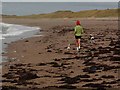 S9603 : Jogger on the shore, Ballyteige Strand by Oliver Dixon