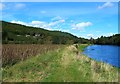 By The River Tweed