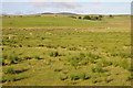 Upland grazing near Rhydlydan