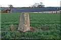 Trig point of Beaumont Hill