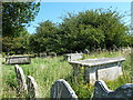 St Mary, Brading: churchyard (f)