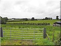 Freughmore Townland