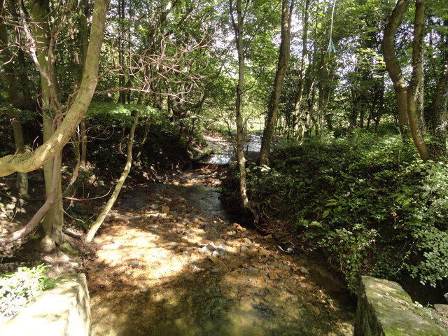 Stream through Washingwell Wood © Robert Graham cc-by-sa/2.0 ...