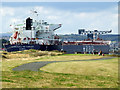 Mariolina De Carlini at the Great Harbour