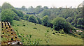 Site of Chilcompton station, 1987