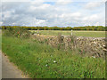 View to Rottonborough Copse