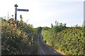 Mid Devon : Colaton Lane at Bidwell Cross