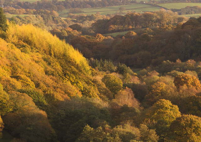 Autumn colours in Irfon Valley