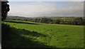 Pasture near Musbury House