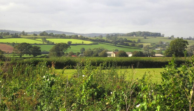 In the Axe valley © Derek Harper :: Geograph Britain and Ireland