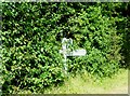 Direction sign in undergrowth near Berwick, East Sussex