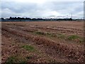 SE5506 : Harvested field    by Graham Hogg