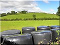 H6914 : Silage bales at Latton by Kenneth  Allen