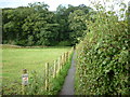 A path leading to Borrowdale Road