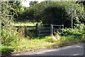 Footpath to Spring Lane